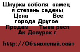 Шкурки соболя (самец) 1-я степень седены › Цена ­ 12 000 - Все города Другое » Продам   . Тыва респ.,Ак-Довурак г.